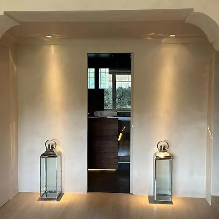 Luxury On Garda Villa Torri Del Benaco